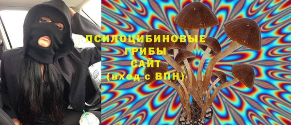 стаф Алексеевка